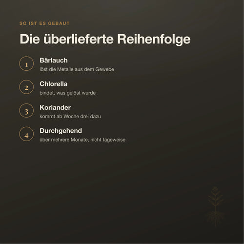 Chlorella, Bärlauch & Koriander – Ausleitungskur